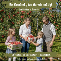 Dein eigener Bio-Obstbaum