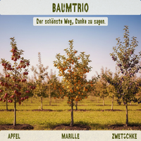 BIO-Obstbaum inkl. Obst & Erlebnisernte