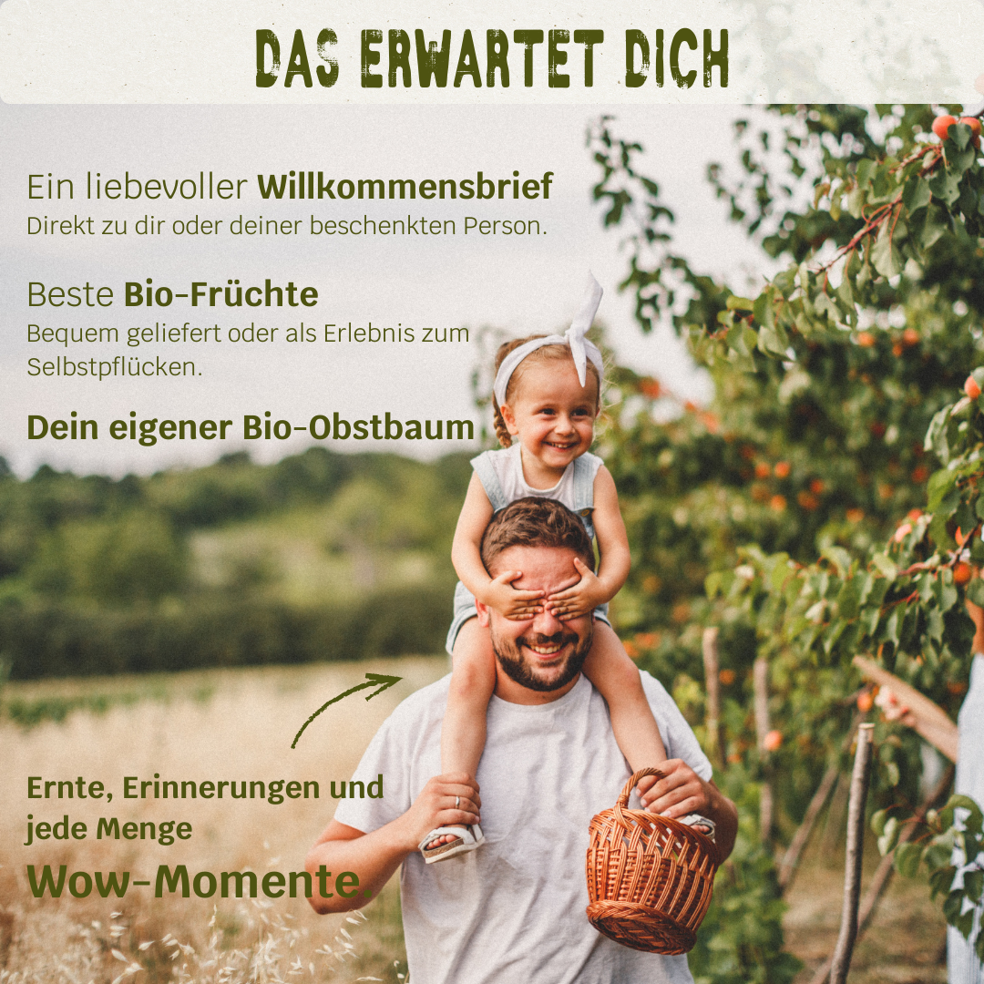 BIO-Obstbaum inkl. Obst & Erlebnisernte