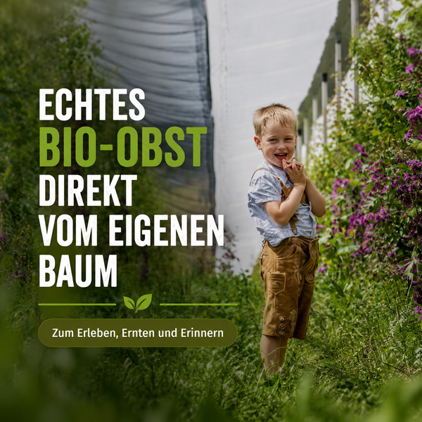 Dein eigener Bio-Obstbaum