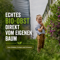 Dein eigener Bio-Obstbaum