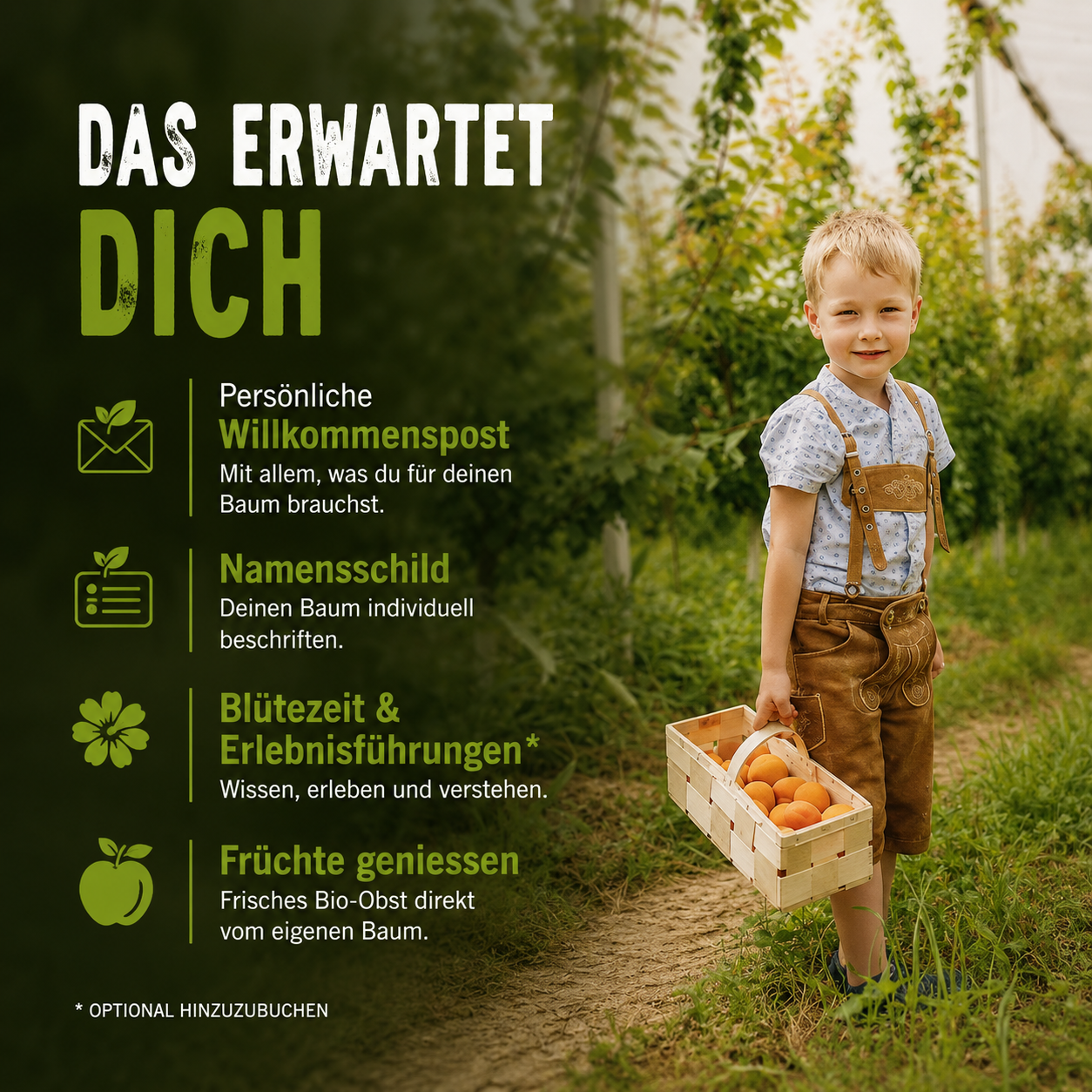 Dein eigener Bio-Obstbaum