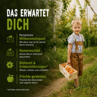 Dein eigener Bio-Obstbaum