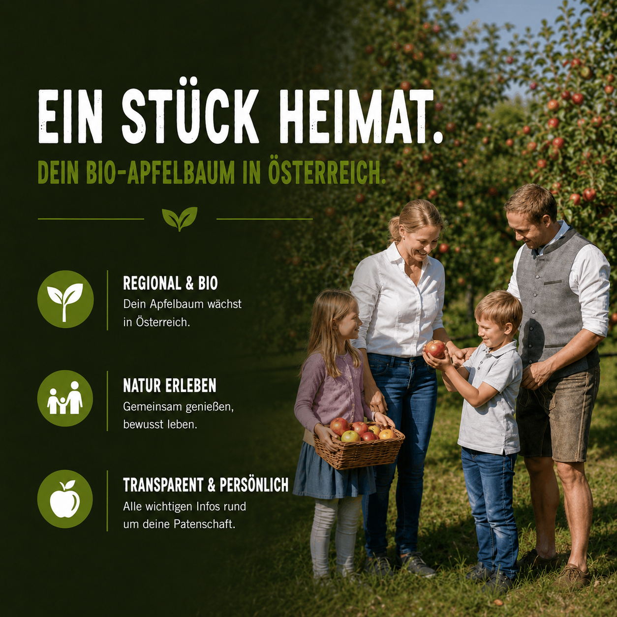 Dein eigener Bio-Obstbaum