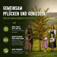 Dein eigener Bio-Obstbaum