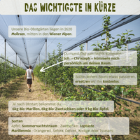 BIO-Obstbaum inkl. Obst & Erlebnisernte