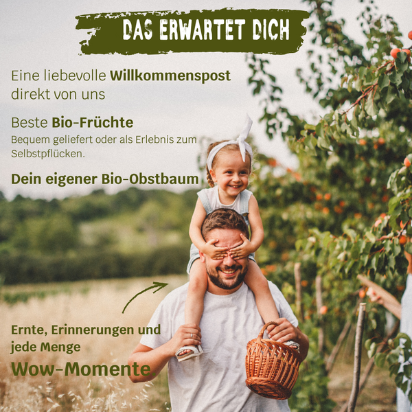 Dein eigener Bio-Obstbaum