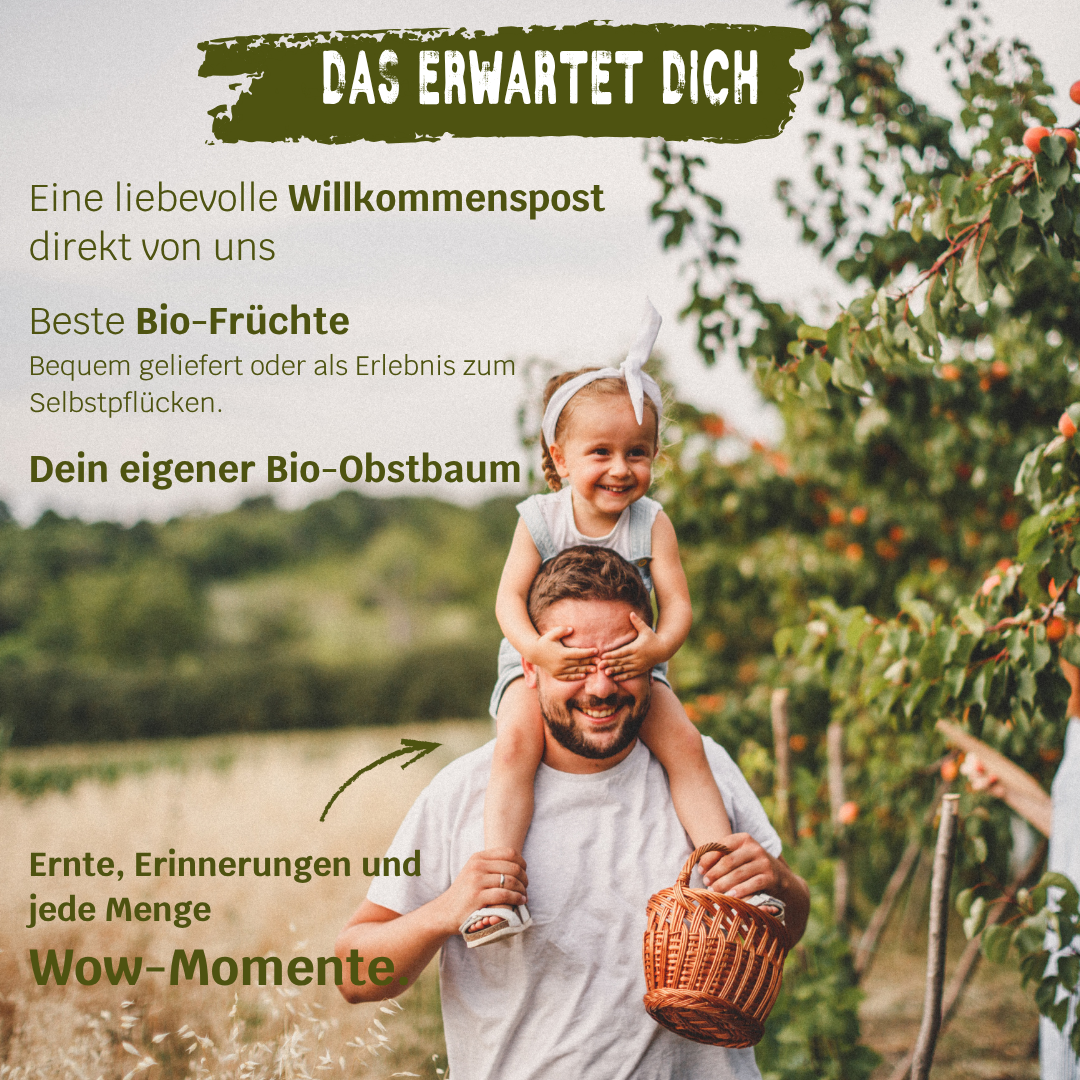 Dein eigener Bio-Obstbaum