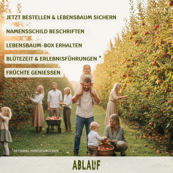 Lebensbaum für 1 Erntejahr