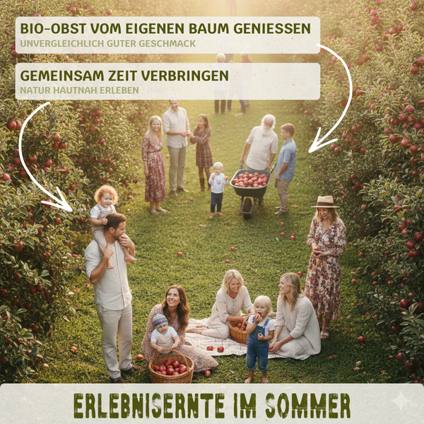 Lebensbaum für 1 Erntejahr