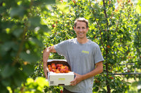 Dein eigener Bio-Obstbaum